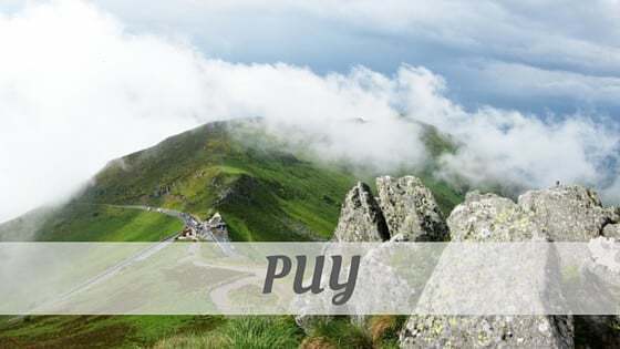 5 letter word containing puy