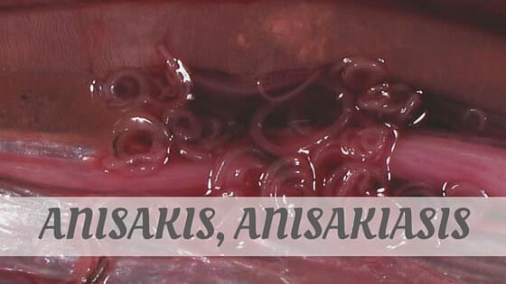 Anisakis, Anisakiasis